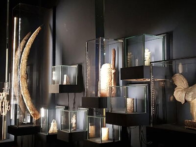 Ausstellungsstücke in Vitrinen