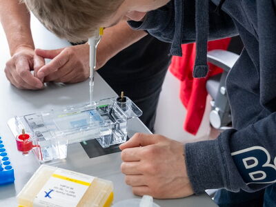 Der genetische Fingerabdruck