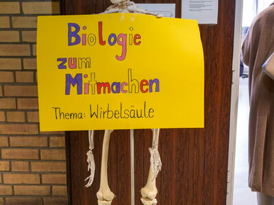 Ein Skelett steht mit einem Plakat vor einer Türe