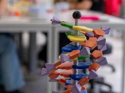 Der genetische Fingerabdruck