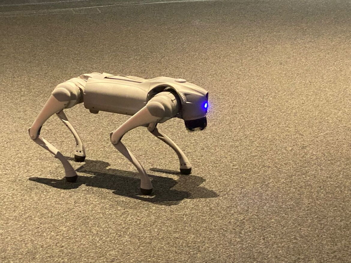 Vorführung Roboterhund