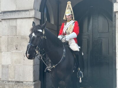 Eine Wache der Kings Guard auf einem Pferd vor dem Buckingham Palast