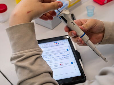 Der genetische Fingerabdruck