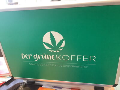 Der grüne Koffer
