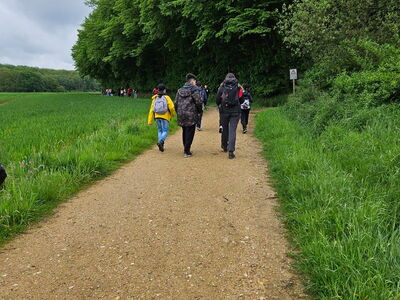 Unterwegs in den Wald