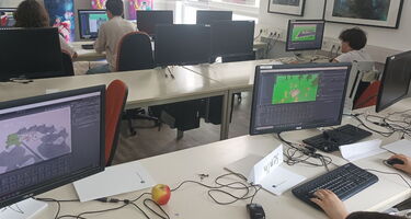 Schüler beim Programmieren an verschiedenen PCs