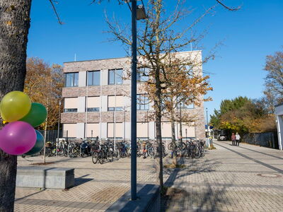 Bunte Luftballons hängen an einem Baum vorm Schulgebäude