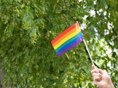 Eine Hand schwenkt ein Regenbogenfähnchen